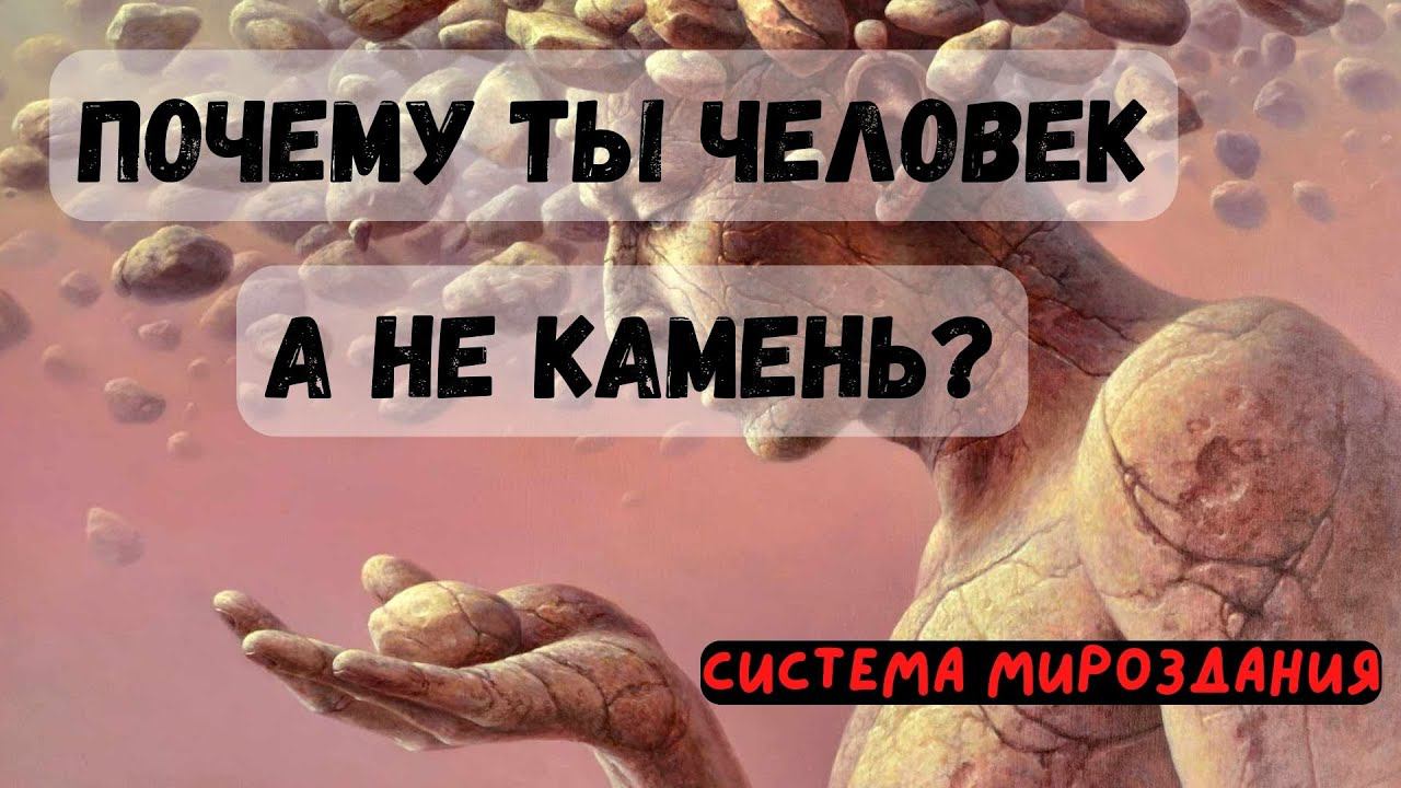 Почему ты человек? Система жизни