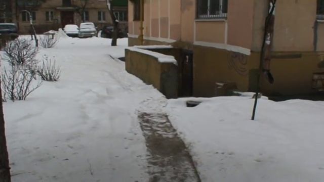 приколы дворника ЖКХ, Балашиха,