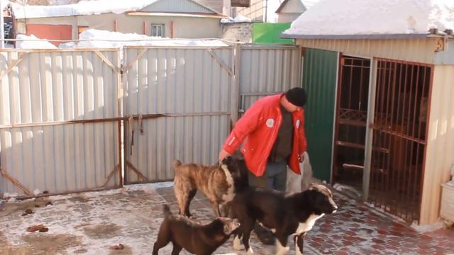 Встреча,после недолгой разлуки