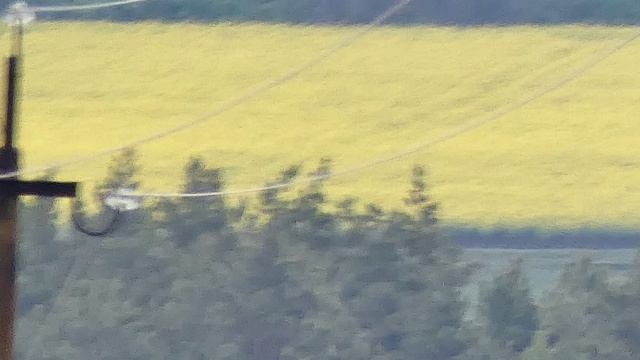 5 июня.mp4