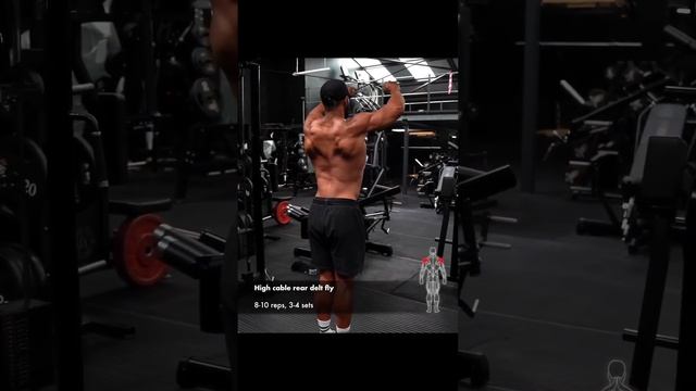 TOP BACK EXERCISES  BACK EXERCISES BACK WORKOUTmotivation