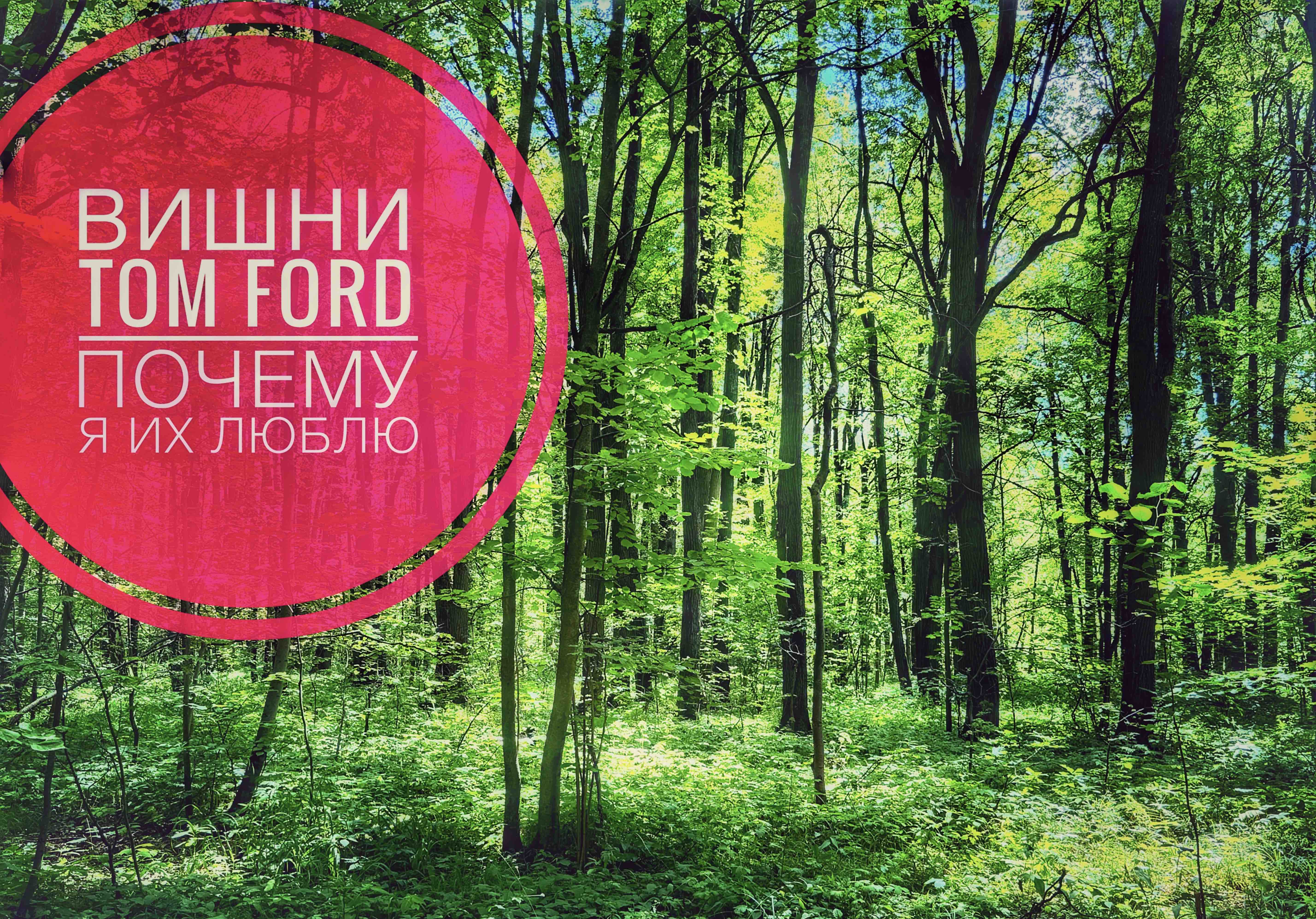 ВИШНИ | TOM FORD почему я их обожаю