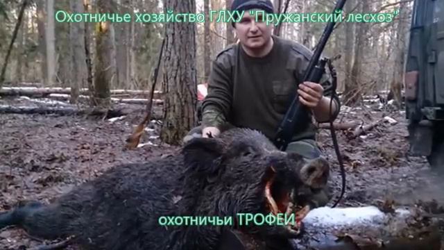 Охотничье хозяйство Пружанский лесхоз 2016 г