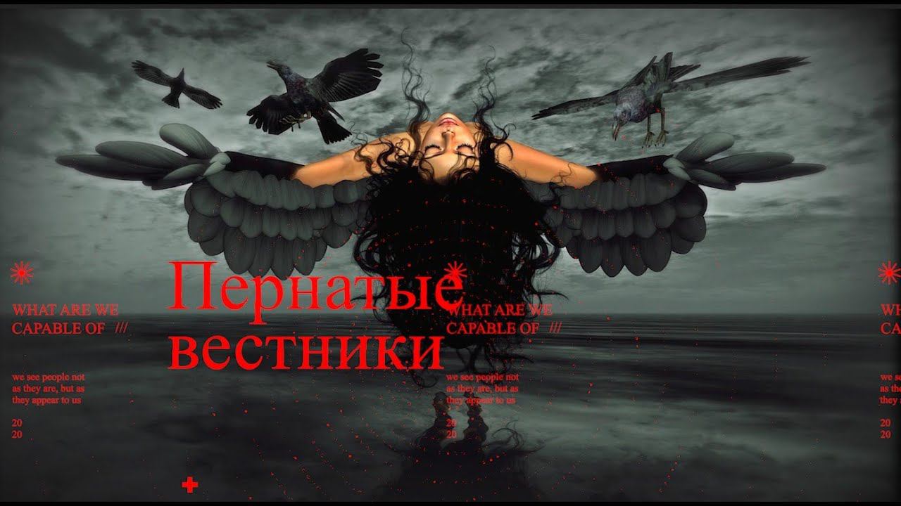 Пернатые вестники