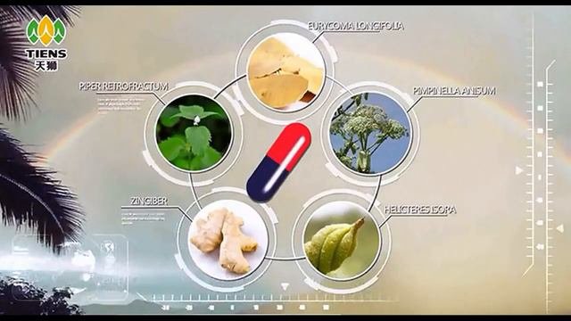 3 Как действует хитозан Тяньши Ван Юймэй