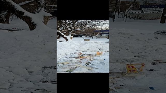 В Москве власти снесли кинологический центр с 30 летней историей. А где вы будете учить ваших собак?
