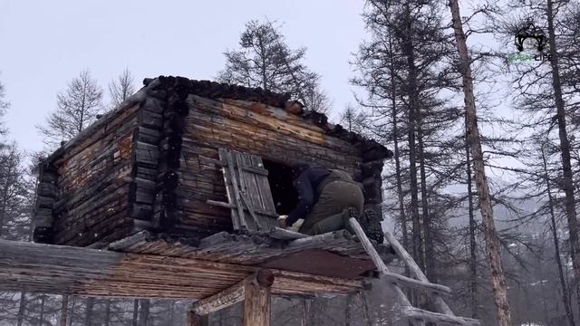 Дежурство в стаде. Усиленный режим . 2 часть.