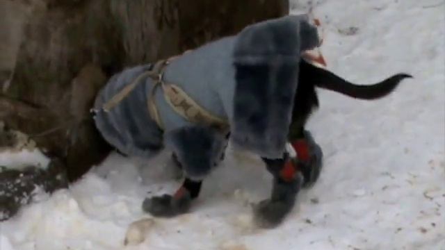 Брабансон Йохи зимний тюнинг