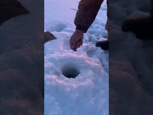 Поклевка щуки