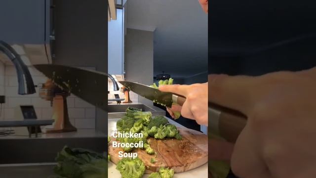 Chicken broccoli soup