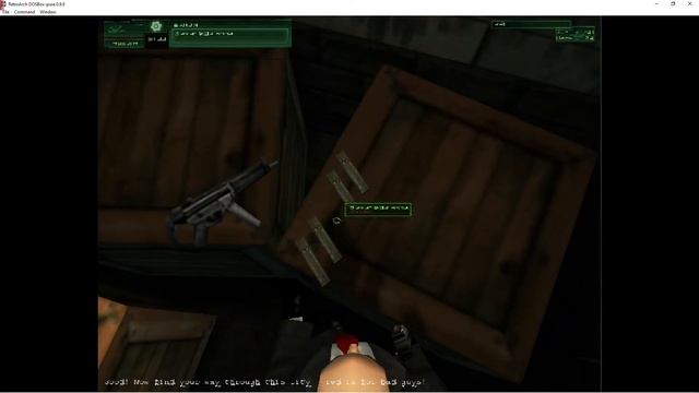 Hitman (D3D) Retroarch DOSBox Pure