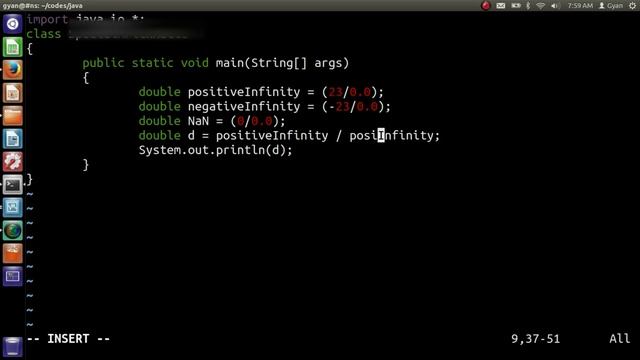 Java Arithmetic Operators With NaN and Infinity as Operands