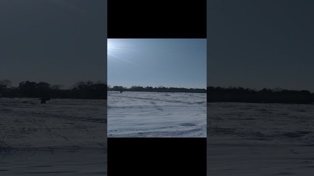 Парашютисты