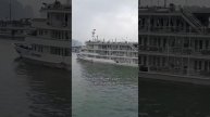 Страшная правда о бесплатном