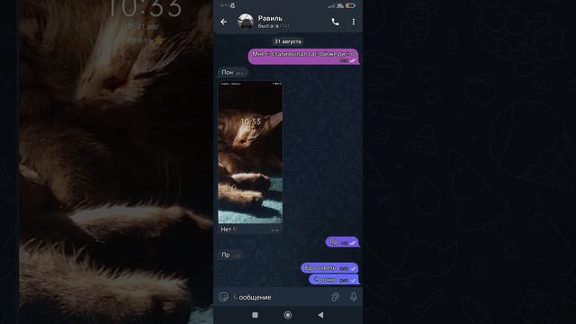 скатина не отвечает