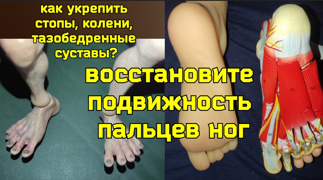 Как оживить "мёртвые" пальцы ног чтобы спасти тазобедренные суставы и позвоночник? Упражнения