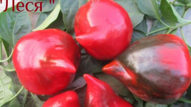 Посылка от подписчицы. Что оказалось внутри?