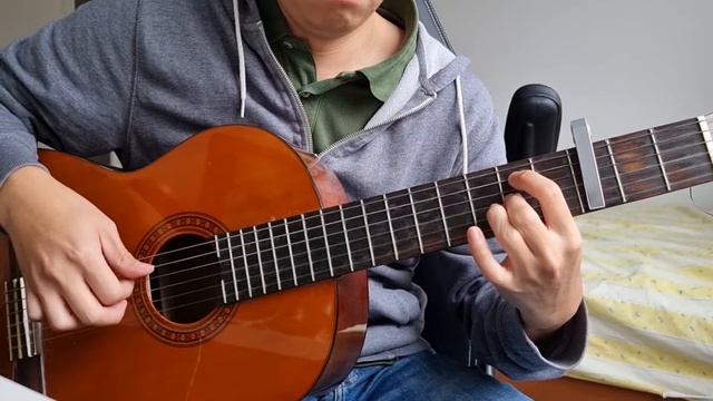 Song from a Secret Garden - Fingerstyle Guitar Cover in C