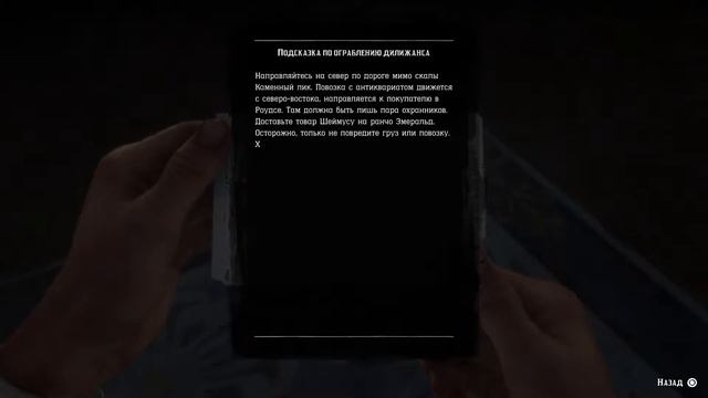 Red Dead Redemption 2_20181105191232