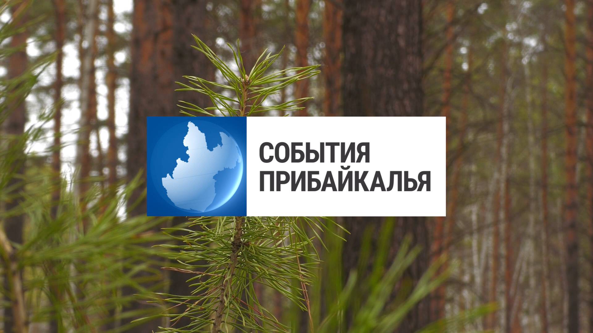 События Прибайкалья от 29.05.2024 | Запрет выхода в лес | Сбил женщину | Ремонт школ