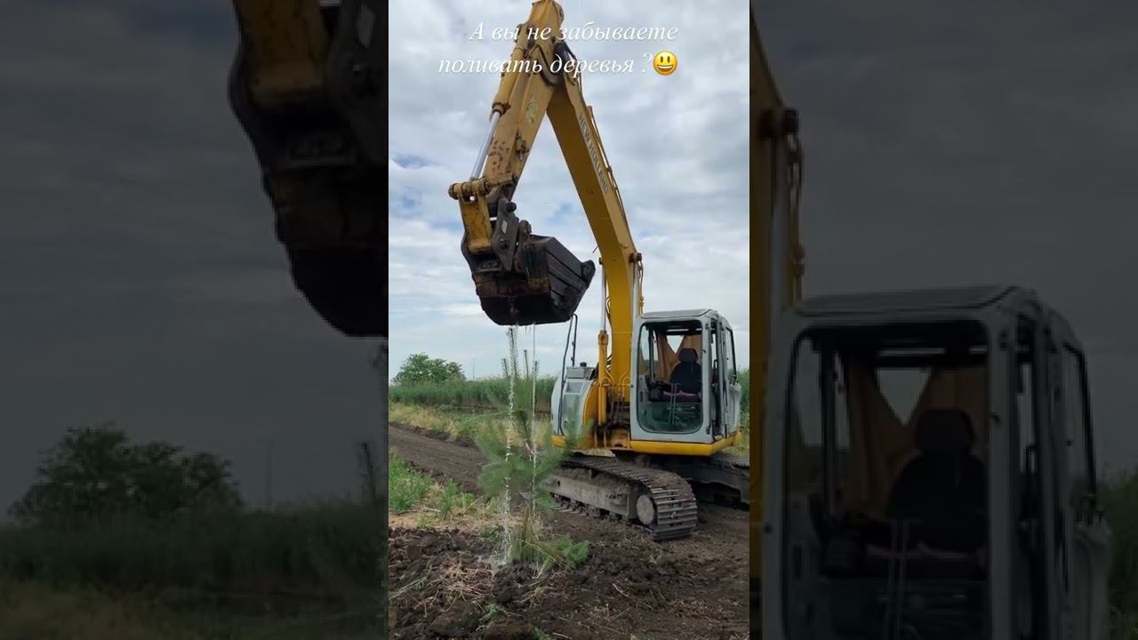 А Вы не забываете поливать деревья?  #водовоз #поливдеревьев #мелиорация #орошение #экскаватор