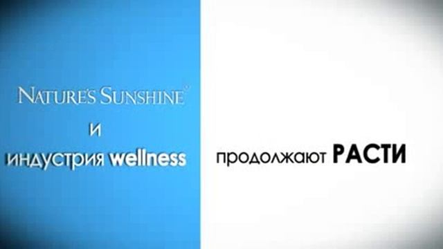 Презентация бизнес возможностей NSP