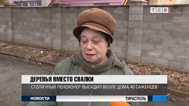 Деревья вместо свалки