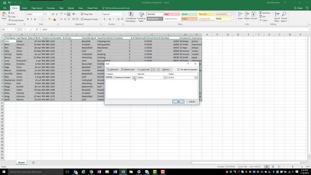 Excel - BASICS - Manual sorting