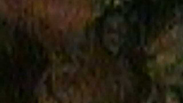 1995-0829 In the triangular bone there is a power called Kundalini, Buenos Aires, Argentina, DP-RAW