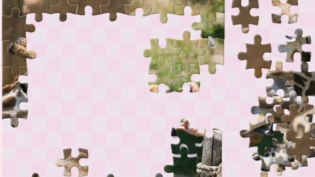 Pазвлекательныe игры - ежедневная головоломка -образовательные игры для детей