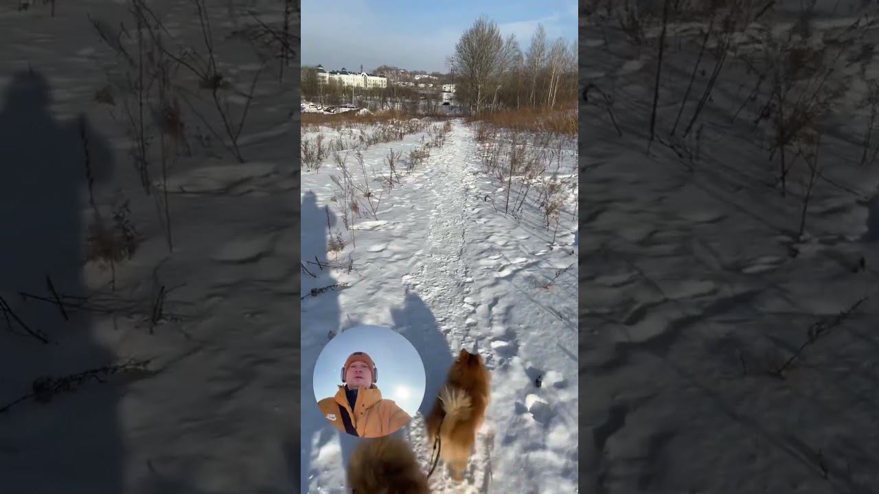 24 декабря 2023 г.