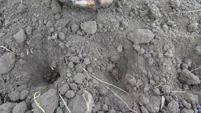 ОКТЯБРЬ (5 часть) ЭТО ВАЖНО!