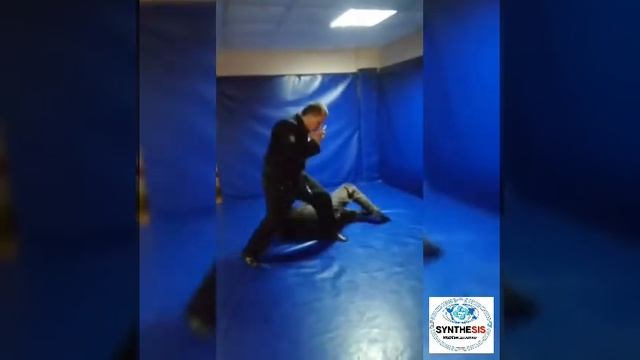 Джиу-джитсу Синтез - Ближний Бой www.idrcma-synthesis.ru
