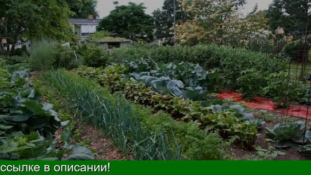 Агромакс Инструкция