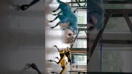 Робот лохматая собака 🤔 #робот #роботы #собака #robot #bostondynamics