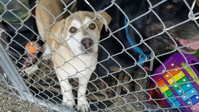 США Какой он Детский сад в Америке Preschool Окончание Spokane wa.