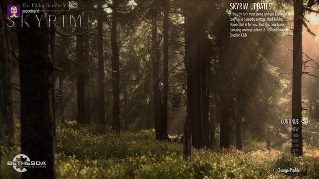 Skyrim Special Edition Mod Review TLS A Legend Begins Main Menu Replacer