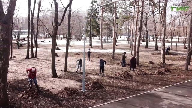 В Самаре пройдут три больших субботника в апреле