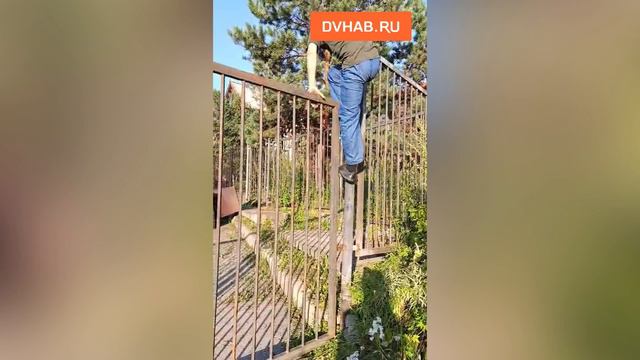 Скандал у забора разгорелась в Хабаровске