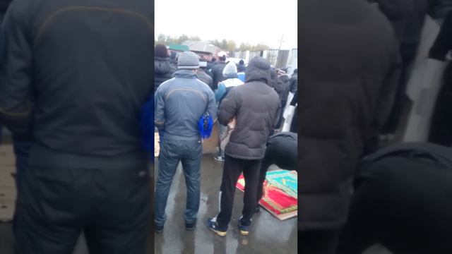 Хайит Номози Хилокский рынок Новосибирск 2015йил