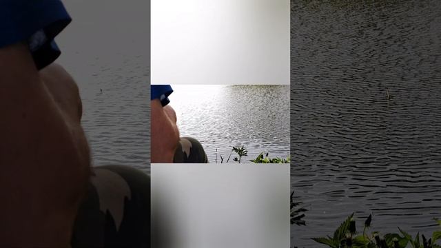 Один день на рыбалке, заряжает энергией на всю неделю.