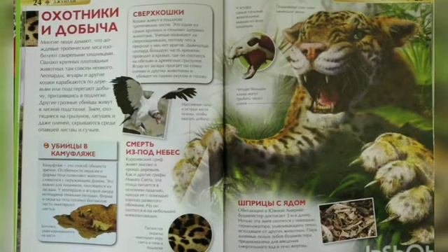 Всемирный день животных (СДК Коржевский)