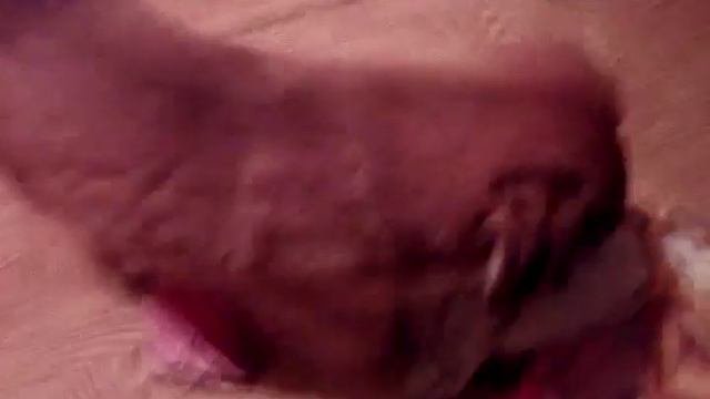 Тайная жизнь домашних животных 2 часть