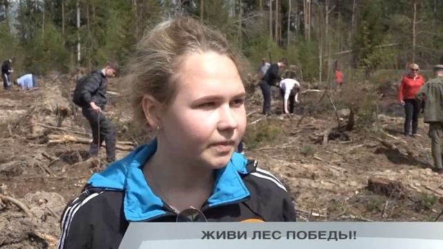 ЖИВИ ЛЕС ПОБЕДЫ!