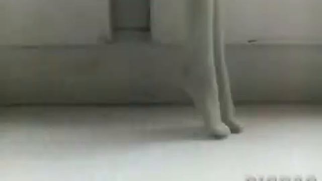 Рашель посылает воздушный поцелуй #picpac #monsterhigh