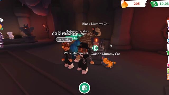 |🐱Кошачий батл 2!🐱||открытие хеллоувинских боксов с котятами🐈⬛|