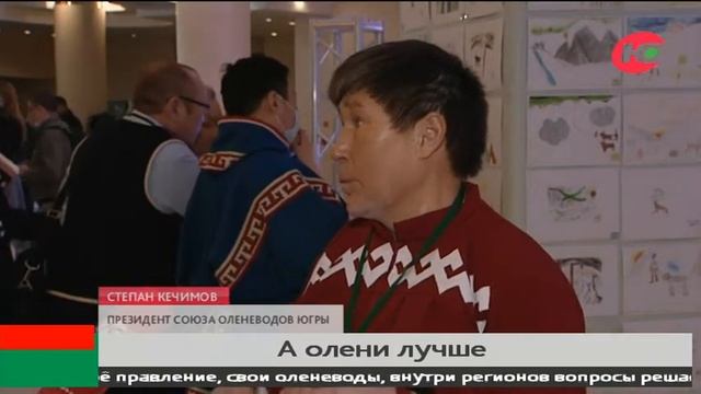 В Югре оленеводы коллективно обсуждают перспективы самой значимой для коренных народов сферы