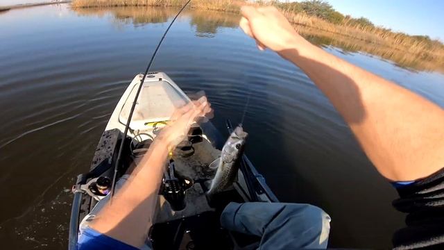 WINTER FISHING IN A SALTWATER MARSH FOR SPECKLED TROUT & OTHER MARSH SPECIES! (GULP SHRIMP)