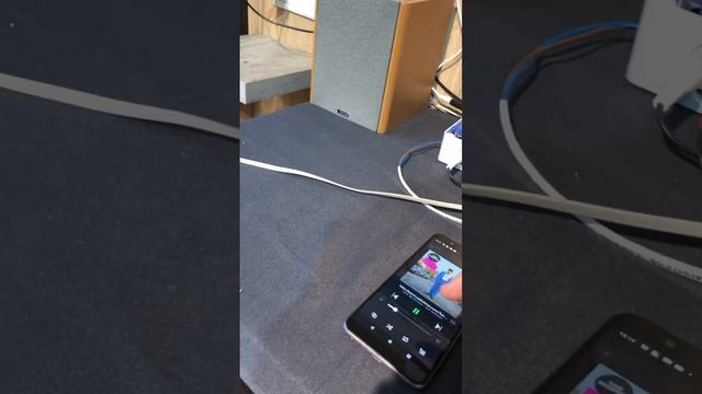 Audio server loxone on raspberry #multispeakersystem