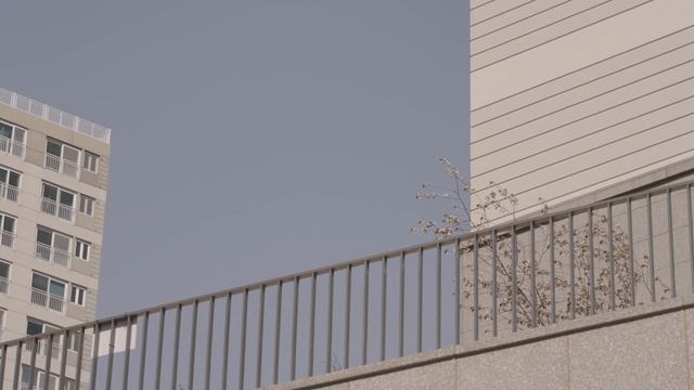 살림브이로그 | 비오는 날 끌리는 요리, 레몬소독수와 만능세제 청소 꿀팁